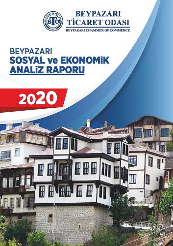 2020 Sosyal ve Ekonomik Rapor